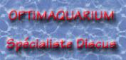 OPTIMAQUARIUM - Spcialiste Discus