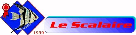 Scalaire