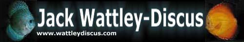 Jack Wattley-Discus